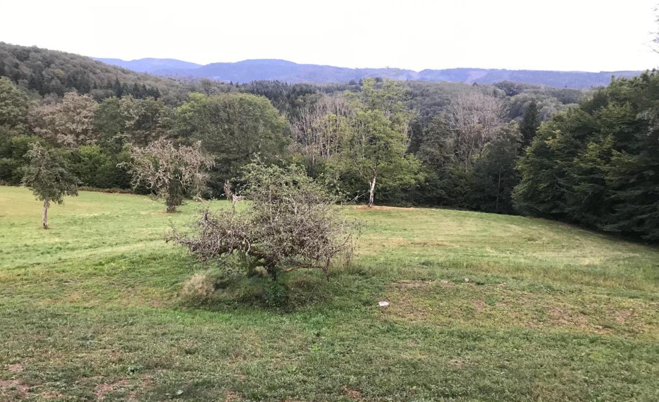 Gîte des PRARY des Mille étangs Ternuay-Melay-et-Saint-Hilaire Esterno foto