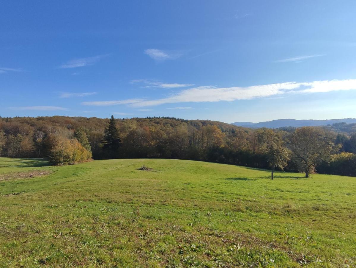 Gîte des PRARY des Mille étangs Ternuay-Melay-et-Saint-Hilaire Esterno foto