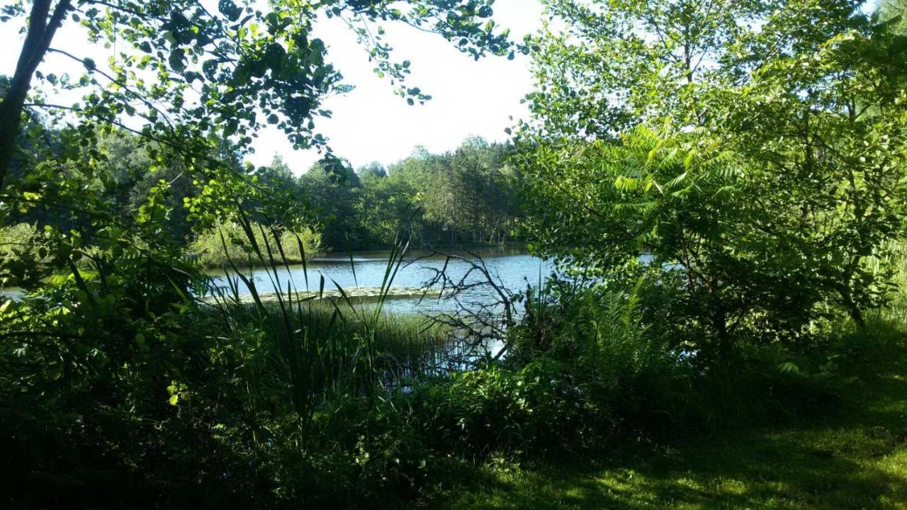 Gîte des PRARY des Mille étangs Ternuay-Melay-et-Saint-Hilaire Esterno foto